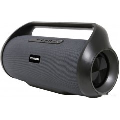 Портативная акустика Hyundai H-PAC420