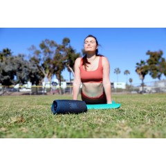 Портативная акустика JBL Charge 5 (синий)