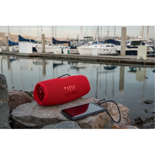 Портативная акустика JBL Charge 5 (розовый)