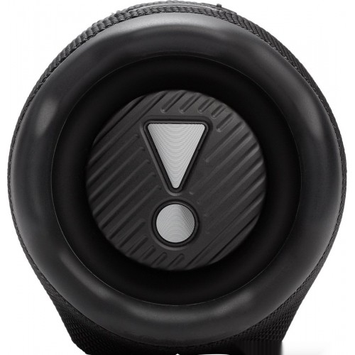 Портативная акустика JBL Charge 6 (черный)