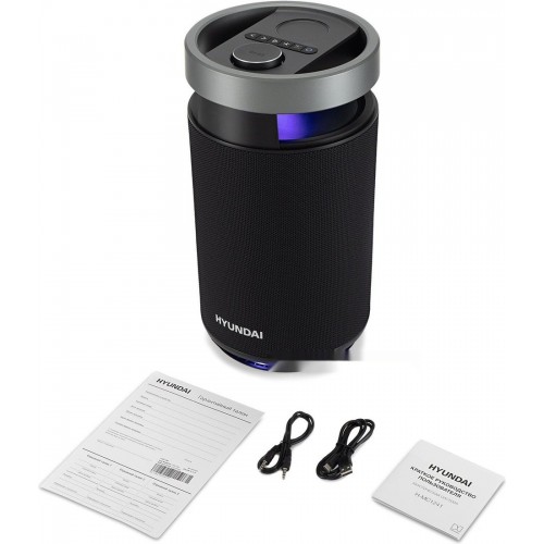 Портативная акустика Hyundai H-MC1241