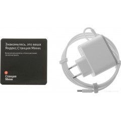 Умная колонка Яндекс Станция Мини 2 с часами (серый)