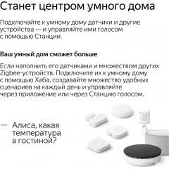 Умная колонка Яндекс Станция Мини 2 с часами (красный гранат)