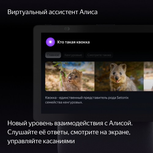 Колонка с умным дисплеем Яндекс Станция Дуо Макс (черный)
