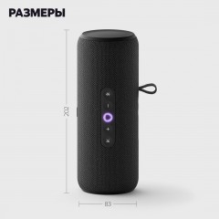 Умная колонка Яндекс Станция Стрит (черный)