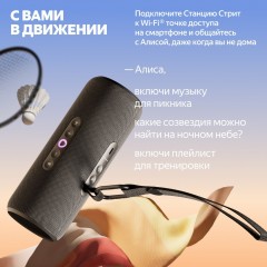Умная колонка Яндекс Станция Стрит (черный)