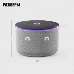 Умная колонка Яндекс Станция Мини 3 Про (серый)