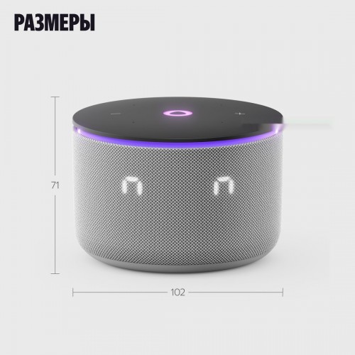 Умная колонка Яндекс Станция Мини 3 Про (серый)