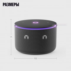 Умная колонка Яндекс Станция Мини 3 Про (черный)