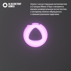 Умная колонка Яндекс Станция Мини 3 Про (черный)