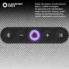 Умная колонка Яндекс Станция Стрит (серый)