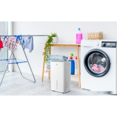 Осушитель воздуха Royal Clima Pacific Loft RD-PC25-E