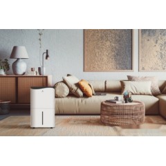 Осушитель воздуха Royal Clima Pacific Villa RD-PC40-E