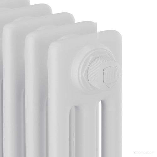 Радиатор Royal Thermo Insignia VC3180 - 12 секций RAL9016