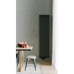 Радиатор РадиаТерм Виктория 2 (RTV181022 ребер 10, черный глянец)