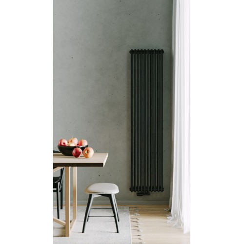 Радиатор РадиаТерм Виктория 2 (RTV181022 ребер 10, черный глянец)
