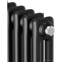 Радиатор Royal Thermo Insignia C2180 - 06 секций RAL9005m