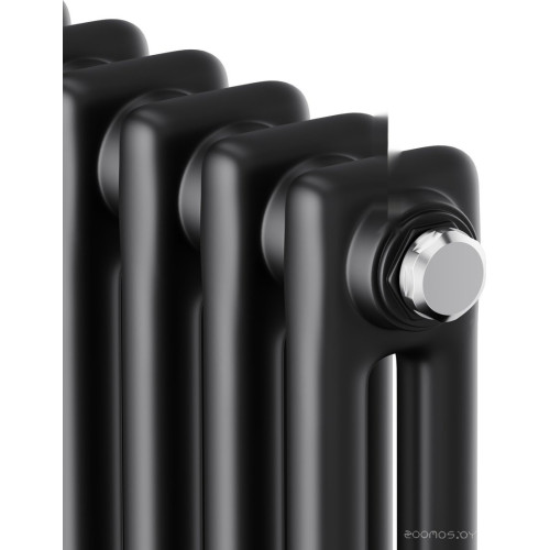 Радиатор Royal Thermo Insignia C2180 - 04 секций RAL9005m