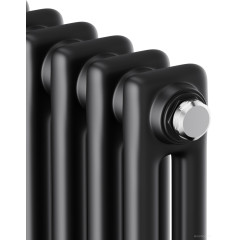 Радиатор Royal Thermo Insignia C2180 - 12 секций RAL9005m