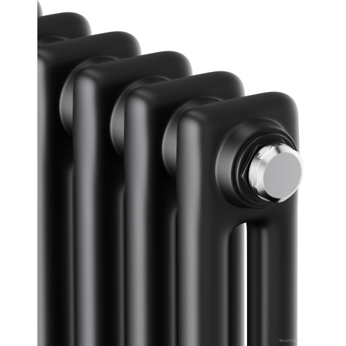 Радиатор Royal Thermo Insignia C2180 - 12 секций RAL9005m