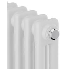 Радиатор Royal Thermo Insignia C2180 - 10 секций RAL9016