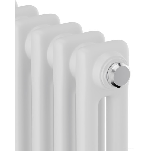 Радиатор Royal Thermo Insignia C2180 - 10 секций RAL9016