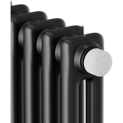 Радиатор Royal Thermo Insignia VC2180 - 06 секций RAL9005m