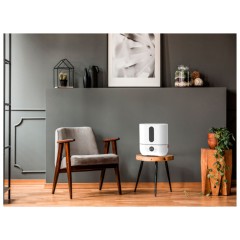 Увлажнитель воздуха Boneco Air-O-Swiss U250 (белый)