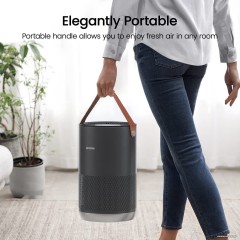 Очиститель воздуха SmartMi Air Purifier P1 ZMKQJHQP11 (темно-серый)