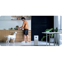 Очиститель воздуха Xiaomi Mi Smart Air Purifier 4 AC-M16-SC