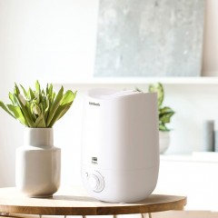 Увлажнитель воздуха Timberk Shell A16M