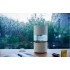 Увлажнитель воздуха SmartMi Humidifier Rainforest CJJSQ06ZM (международная версия)