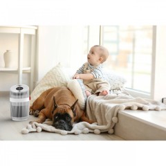 Очиститель воздуха Boneco Air-O-Swiss P230