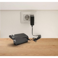 Пылесос Gorenje SVC252GFA