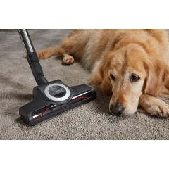 Пылесос Miele Blizzard CX1 Cat & Dog PowerLine SKCF3