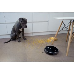 Робот-пылесос Gutrend Smart 300 (Black)