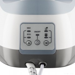 Утюг Redmond RSS-5906