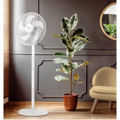 Вентилятор Electrolux EFF-1005