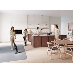 Пылесос Electrolux Well Q6 WQ61-42GG