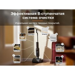 Вертикальный моющий пылесос Roborock F25 WD5M1A (черный)