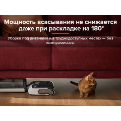 Вертикальный моющий пылесос Roborock F25 WD5M1A (черный)