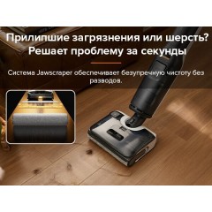 Вертикальный моющий пылесос Roborock F25 WD5M1A (черный)