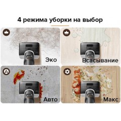 Вертикальный моющий пылесос Roborock F25 WD5M1A (черный)