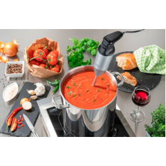 Блендер Caso HB 2400 Pro XL