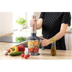 Блендер Sencor SHB 5606GD