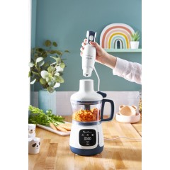 Блендер Moulinex Yummy Gourmet DD55W110