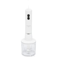 Блендер StarWind SBP1111