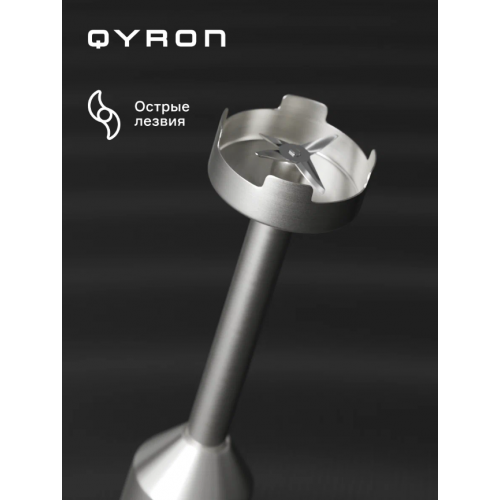 Блендер QYRON BH601