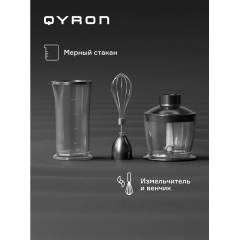 Блендер QYRON BH601