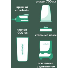 Блендер NutriBullet Pro NB908MAJD